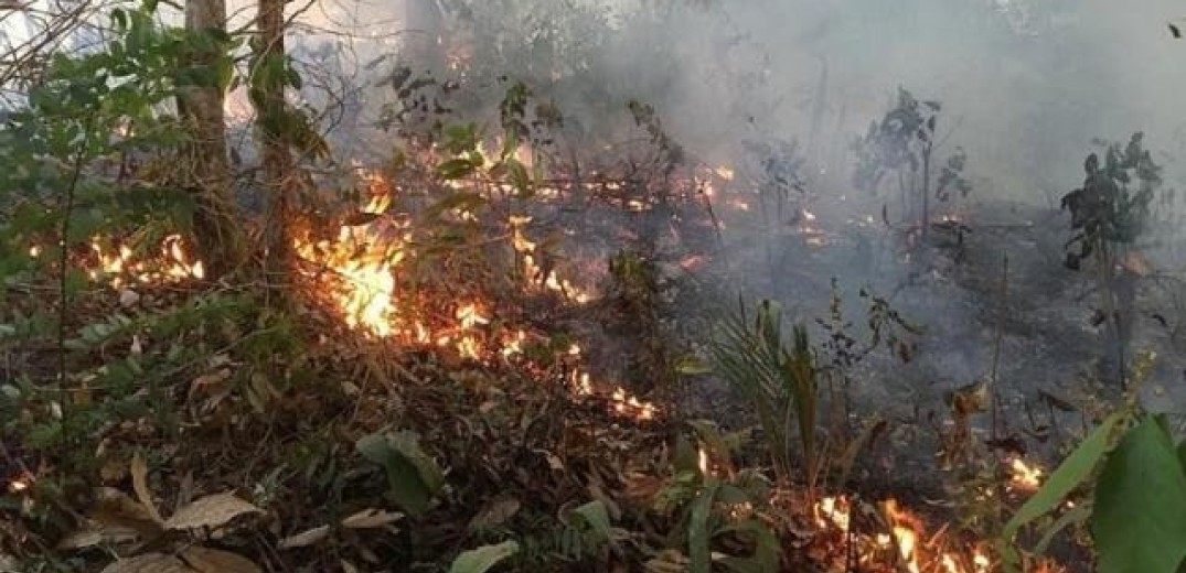 Καίγεται ξανά ο Αμαζόνιος