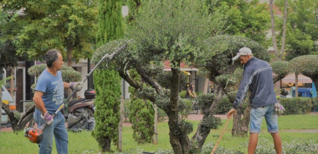  «Υιοθετήστε τα δέντρα της πόλης» προτρέπει ο δήμος Κομοτηνής 