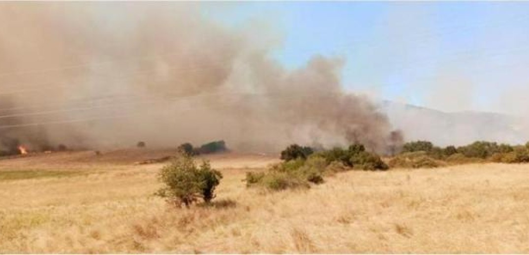 Θεσσαλονίκη: Πυρκαγιά σε δασική έκταση στη Μικροκώμη Βόλβης 