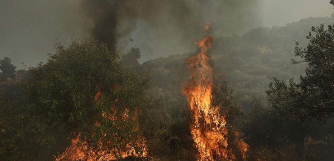 Ιταλία: Αποτέλεσμα εμπρησμών μεγάλο μέρος των πυρκαγιών που κατακαίνε τη Σικελία
