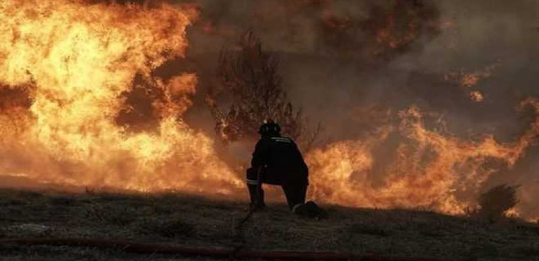 Ο Νομός Πέλλας έστειλε πυροσβέστες στην πυρκαγιά της Μάνης
