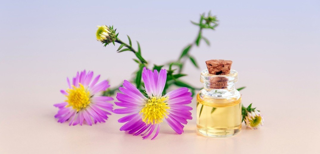 Τα top συστατικά καλλυντικών – Έλαιο Χοχόμπα (jojoba oil)