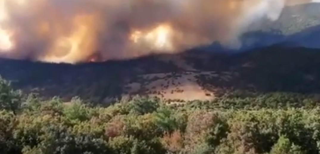 Έβρος: Δεύτερη νύχτα αγωνίας για το δάσος της Δαδιάς - Οι αναζωπυρώσεις στέλνουν τις φλόγες προς το εθνικό πάρκο