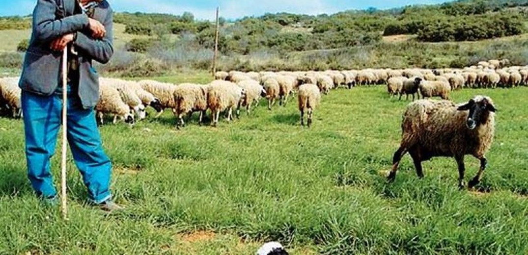 Ημερίδα για τους κτηνοτρόφους της ΠΕ Γρεβενών 