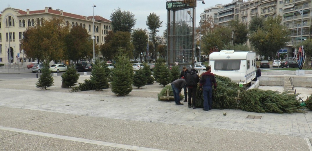 Τα φυσικά χριστουγεννιάτικα δέντρα συλλέγει και ανακυκλώνει ο δήμος Θεσσαλονίκης 