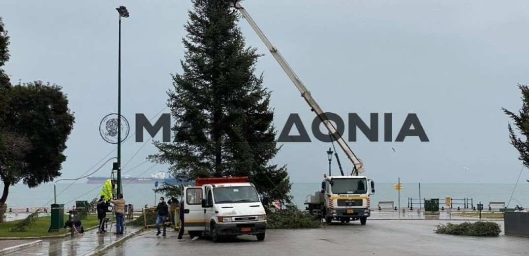 Θεσσαλονίκη: Στολίζεται το χριστουγεννιάτικο δέντρο στην πλατεία Αριστοτέλους (Φωτ.)