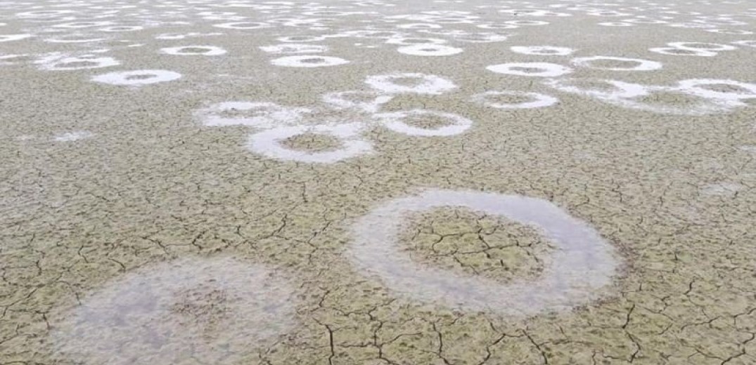 Εκατοντάδες κύκλοι στον πυθμένα τής Λίμνης Κερκίνης
