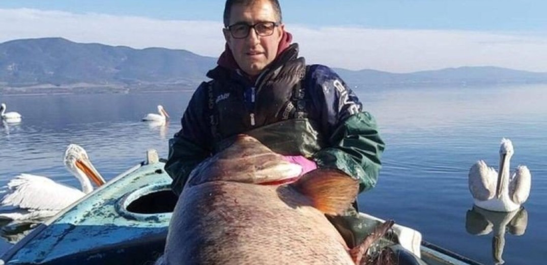 Έπιασαν ψάρι-γίγαντα 85 κιλών στη λίμνη Βόλβη (Φωτ.)