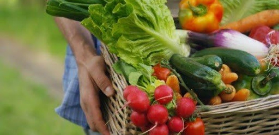 “Πρωτιά” για τον κλάδο της αγροδιατροφής εν μέσω πανδημίας – Αύξηση στις εξαγωγές και την κατανάλωση προϊόντων