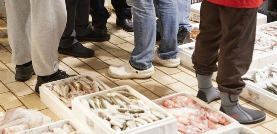 Θεσσαλονίκη: Εκατοντάδες κιλά αλιευμάτων κατασχέθηκαν στην ιχθυόσκαλα Ν. Μηχανιώνας