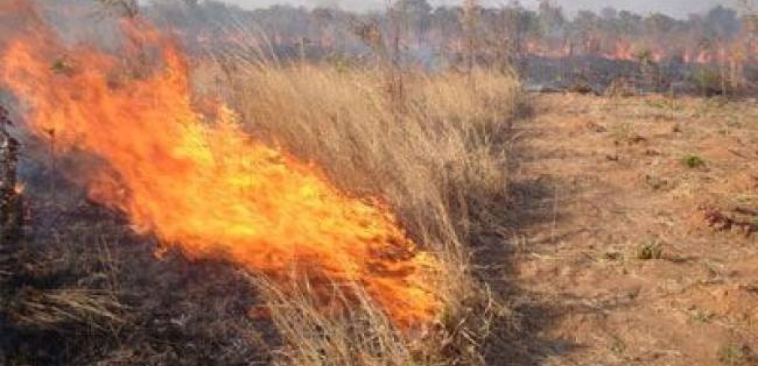 Δήμος Δέλτα: Καμία ανοχή σε όσους καίνε γεωργικά υπολείμματα