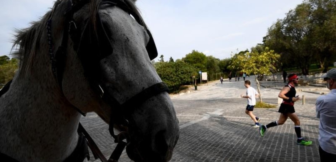 Αφηνιασμένο άλογο στους δρόμους της Κατερίνης 