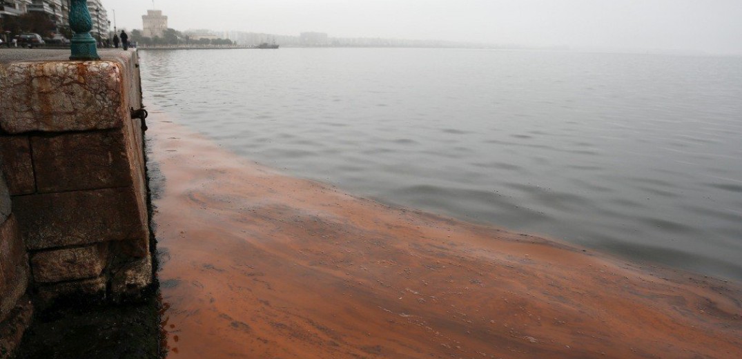 Θεσσαλονίκη: Δεν είναι τόσο αθώο φαινόμενο η «κόκκινη παλίρροια» στο Θερμαϊκό λένε οι Οικολόγοι