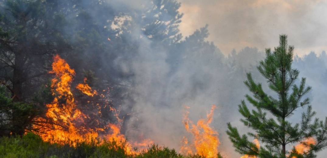 Καιρός: «Εκρηκτικό κοκτέιλ» με ανέμους, ζέστη και ξηρασία - Συναγερμός για πυρκαγιές σε όλη τη χώρα