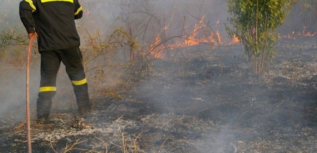 Άνω Λιόσια: Φωτιά στη Φυλή κοντά στο γήπεδο Πανοράματος