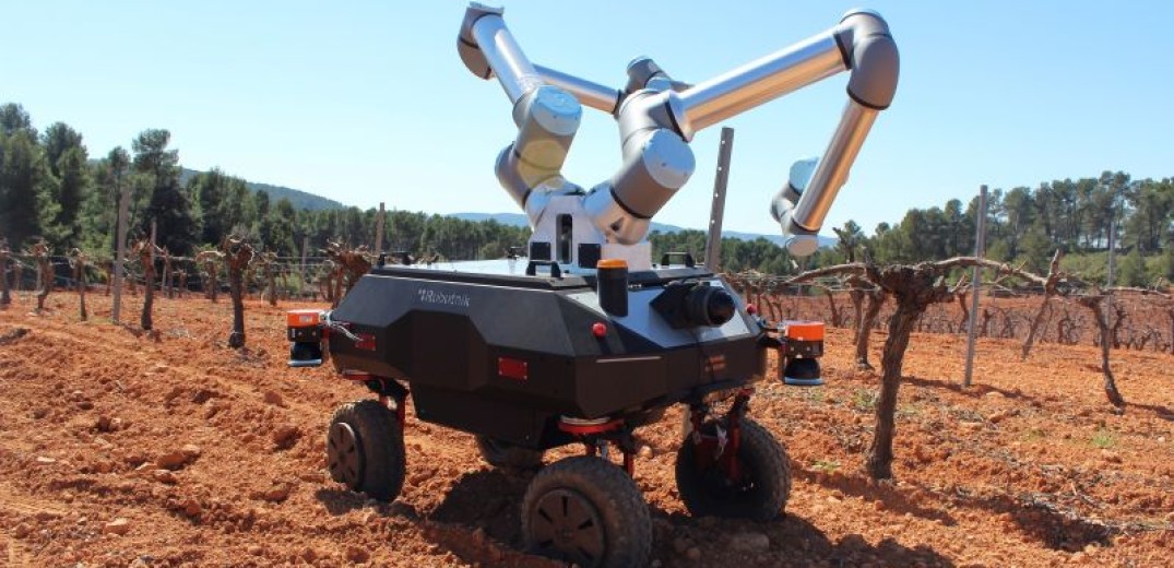  ΑΠΘ: Ένα δίχειρο ρομπότ που τρυγάει τα σταφύλια στον αμπελώνα (Βίντεο-Φωτ.)