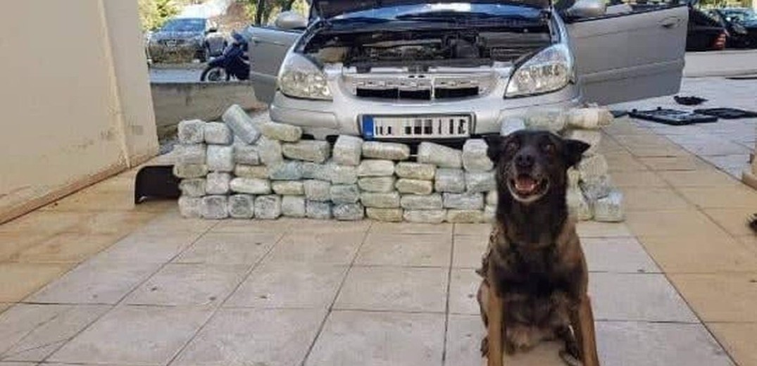 Με τη συνδρομή αστυνομικού σκύλου εντοπίστηκαν τέσσερα κιλά ηρωίνης και περίπου 11 κιλά κάνναβης