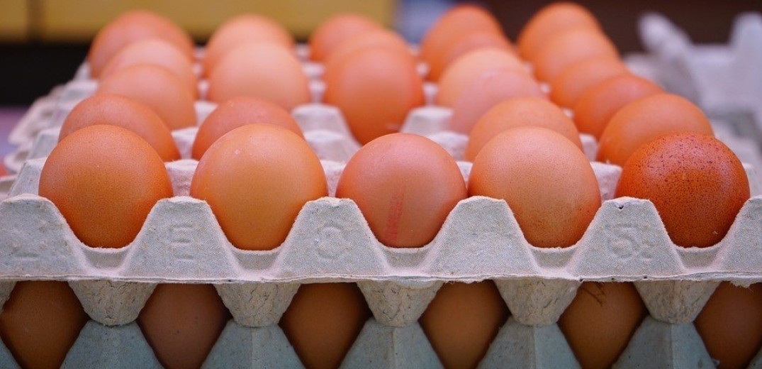 Πάνω από 34 τόνοι δήθεν βιολογικά κοτόπουλα και δεκάδες χιλιάδες αβγά αποσύρθηκαν από την αγορά