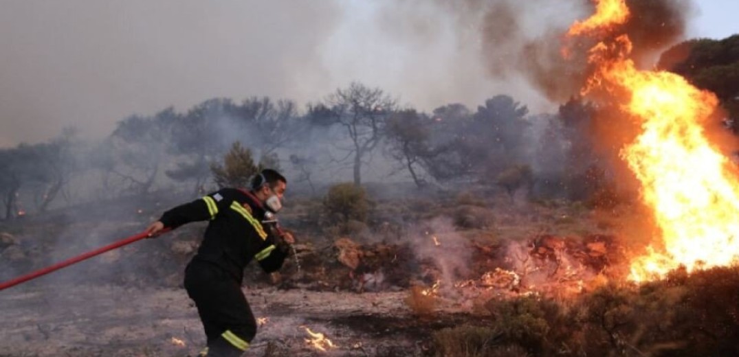 Πυρκαγιά στα Αμπελάκια Σαλαμίνας – Πλησιάζει σπίτια της περιοχής 