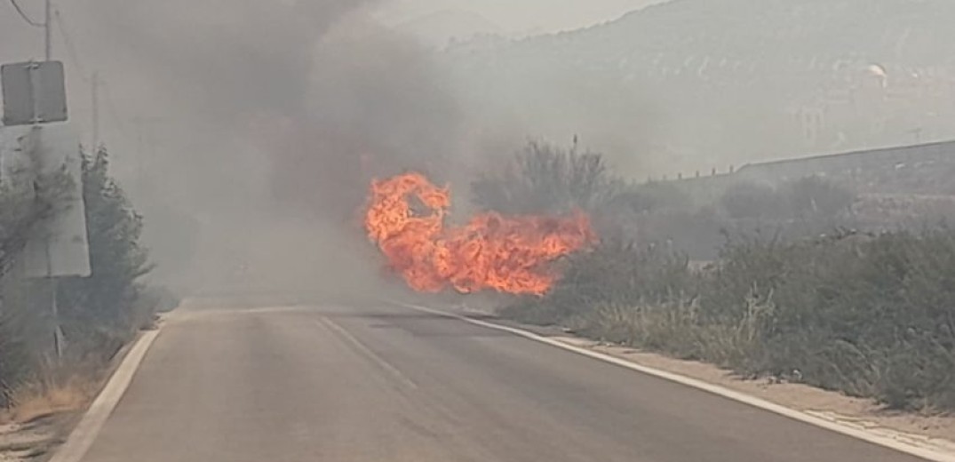 Αχαΐα - Καμάρες: Νέα φωτιά στη Μπούκα, απομακρύνονται λουόμενοι