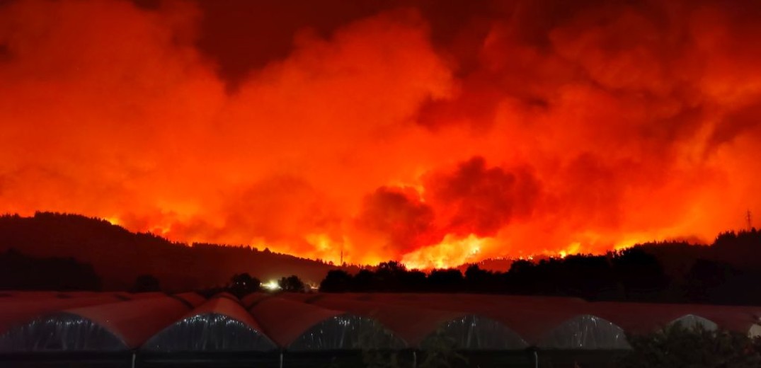 Το θρίλερ της Εύβοιας: 650 πολίτες διασώθηκαν με πλωτά μέσα- Η φωτιά καίει σπίτια (βίντεο)