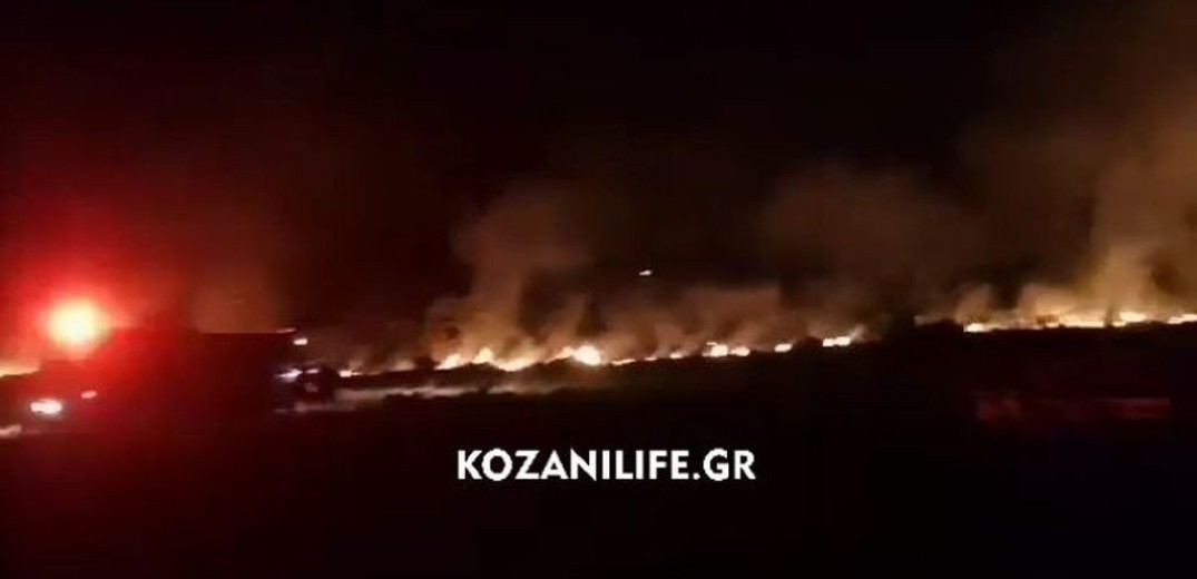 Ολονύχτια μάχη με τις φλόγες στη Ζωοδόχο Πηγή της Κοζάνης (βίντεο)
