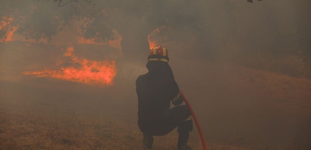 Πυρκαγιά σε δασική έκταση στην περιφερειακή Αιγάλεω στα νεόκτιστα Ασπροπύργου